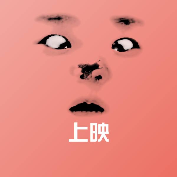 上映表情包