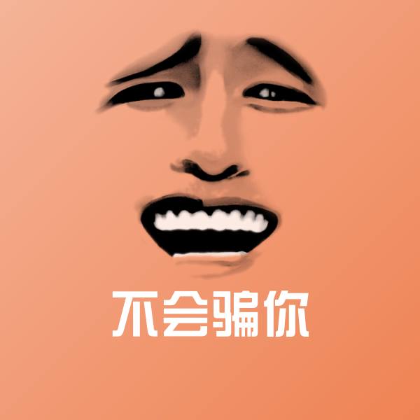 不会骗你表情包