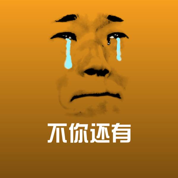 不你还有聊天表情
