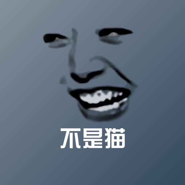 不是猫沙雕表情包