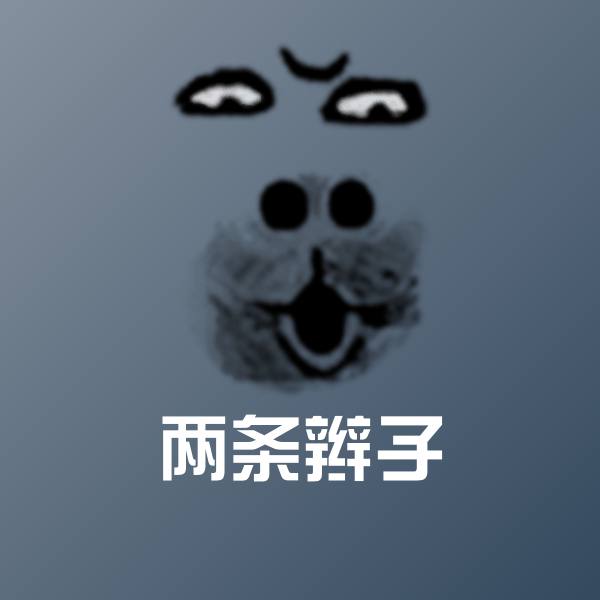 两条辫子微信表情包