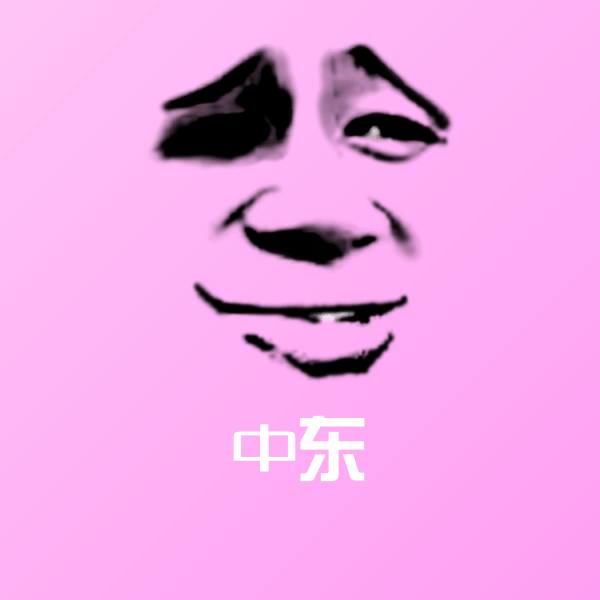 中东沙雕表情包
