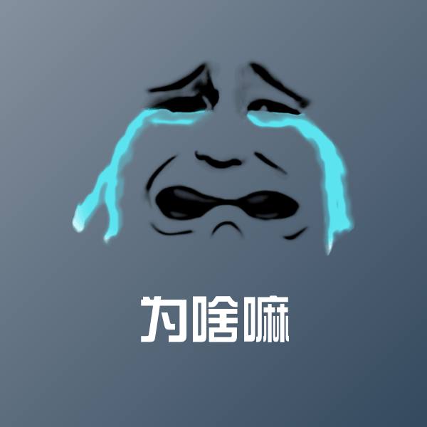 为啥嘛聊天表情