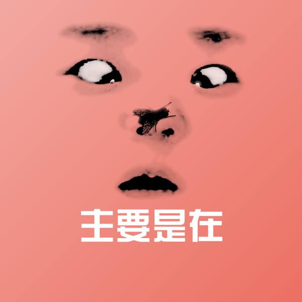 主要是在斗图图片