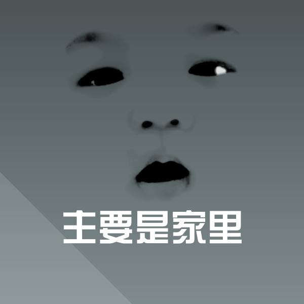 搞笑主要是家里表情