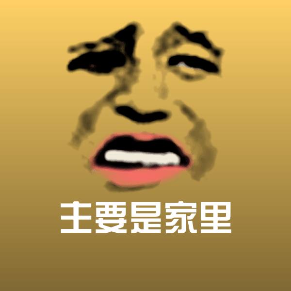 搞笑主要是家里表情