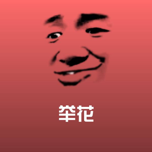 高清举花表情图片