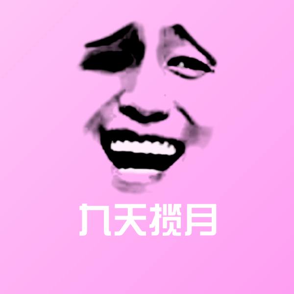 九天揽月微信表情包