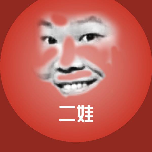 二娃沙雕表情包