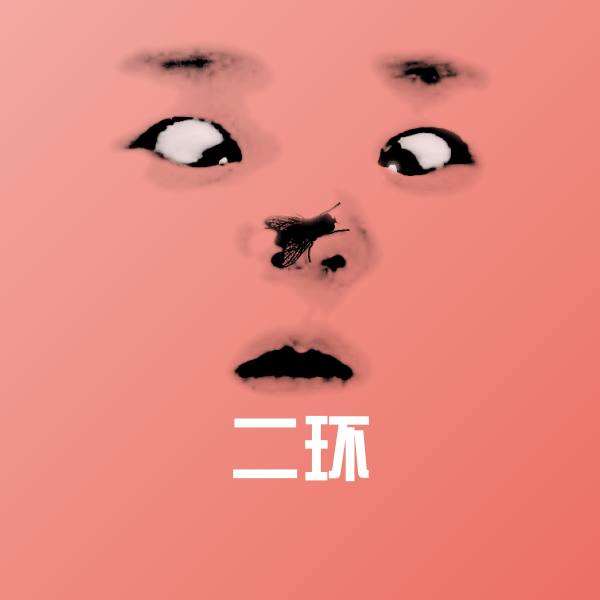 二环聊天表情