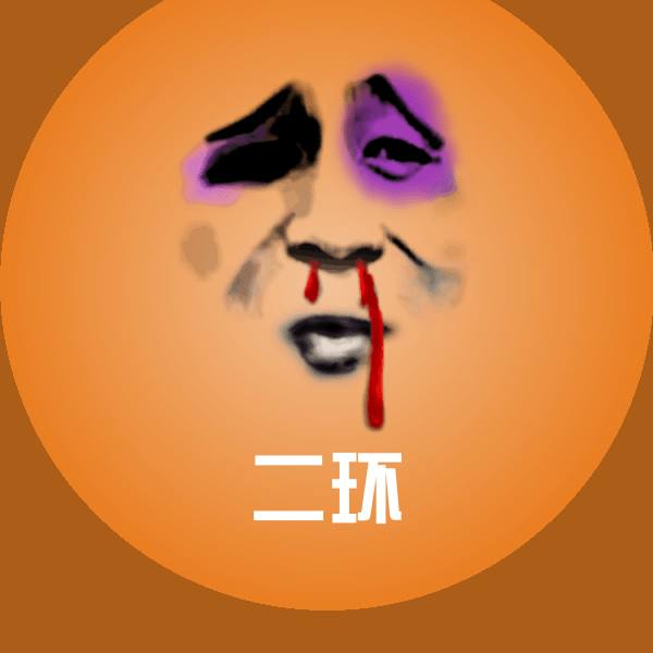二环沙雕表情包