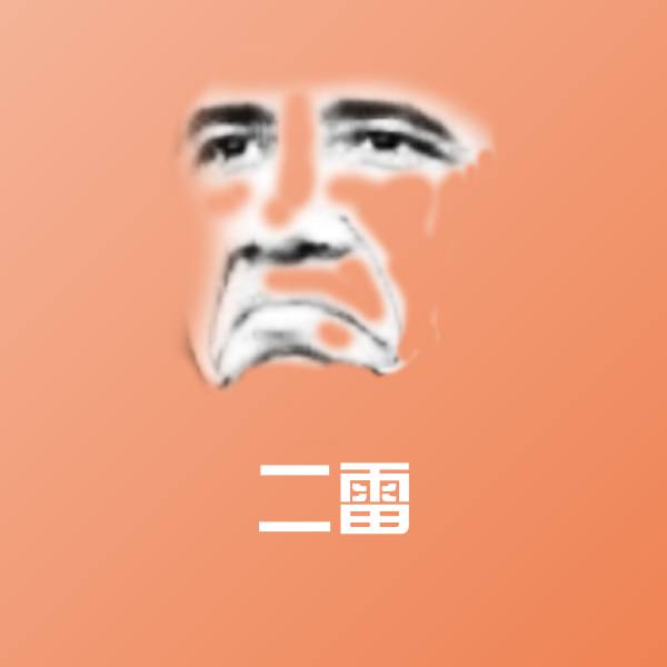 搞笑二雷表情