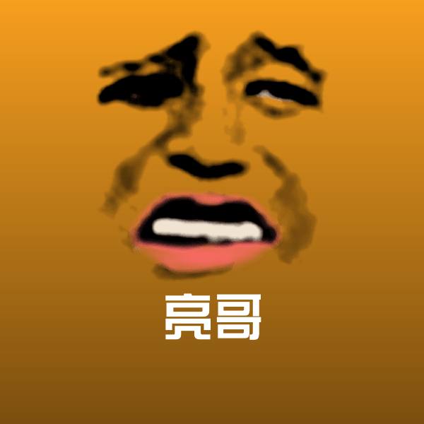 原创亮哥表情包