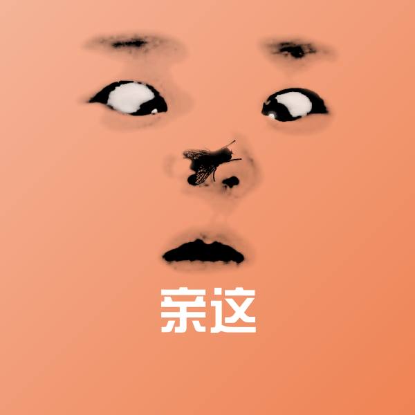 搞笑亲这表情