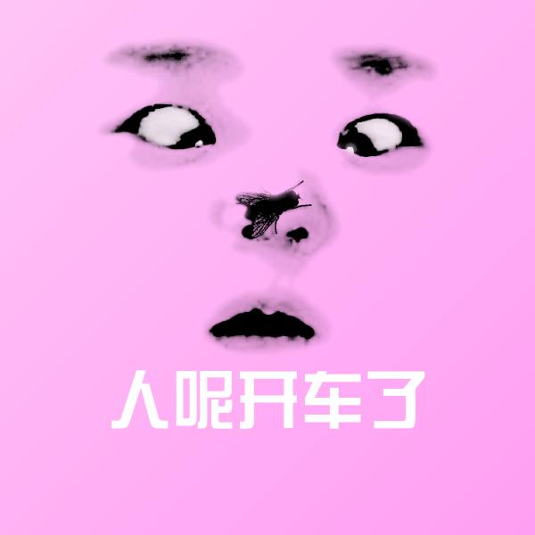 人呢开车了表情包