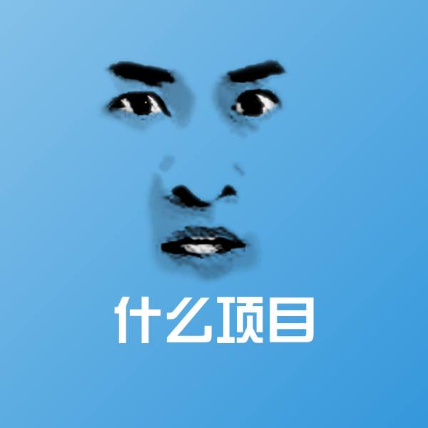 什么项目聊天表情