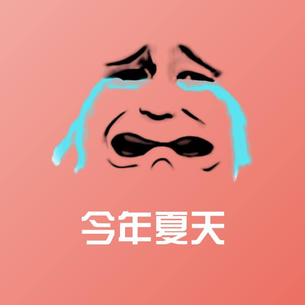 今年夏天斗图神器