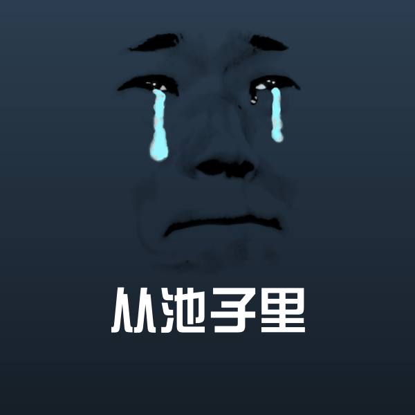 原创从池子里表情包