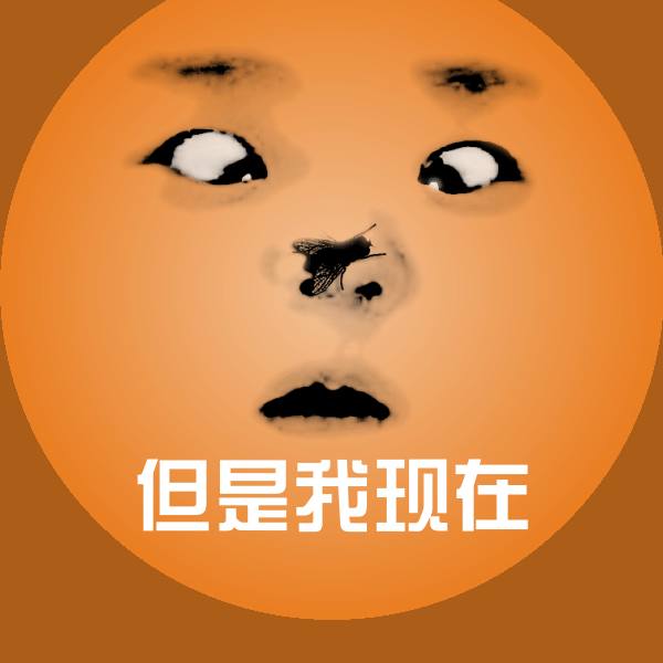 但是我现在沙雕表情包