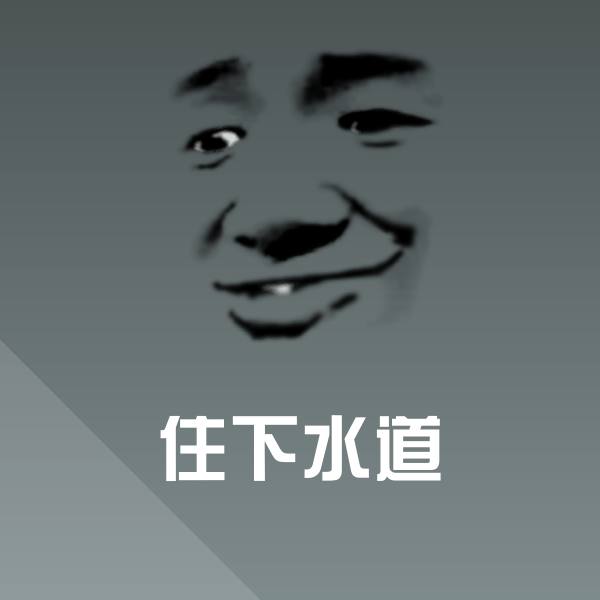 搞笑住下水道表情