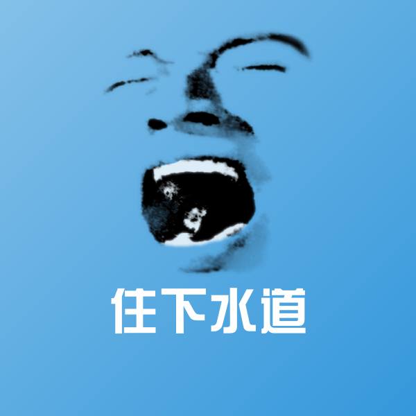 住下水道表情包