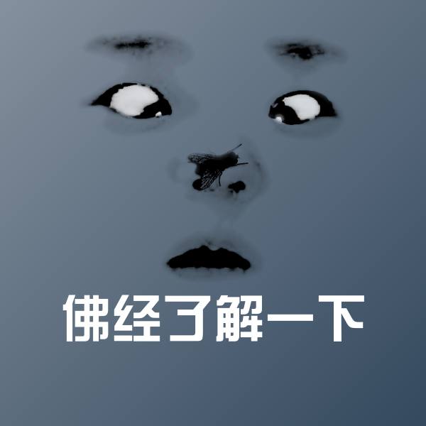 可爱佛经了解一下表情