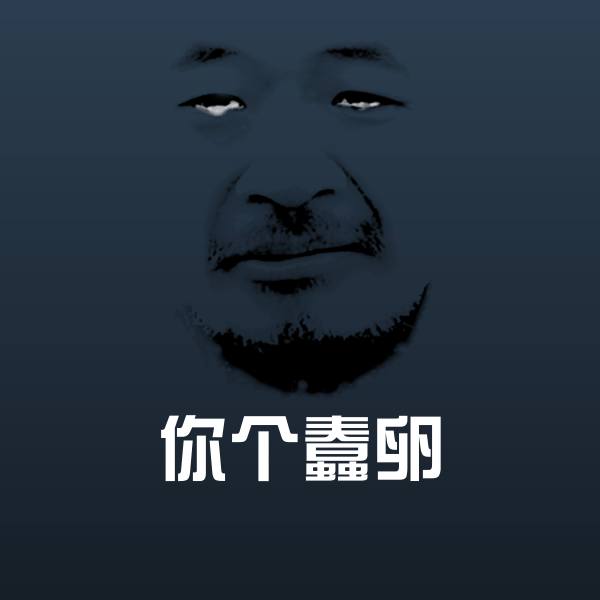 你个蠢卵表情包