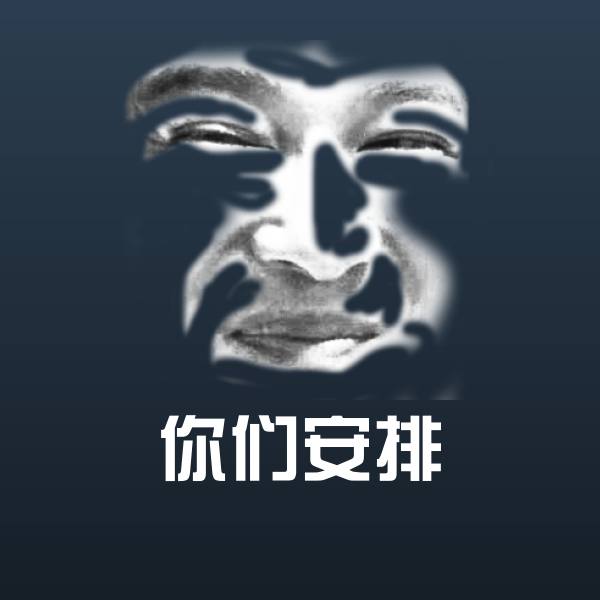 你们安排斗图图片 第1张