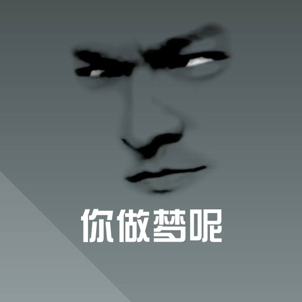 你做梦呢斗图神器