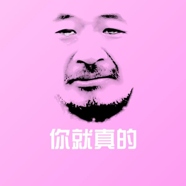 你就真的聊天表情 第1张