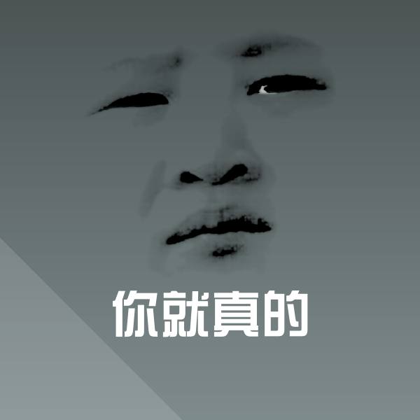 你就真的斗图神器