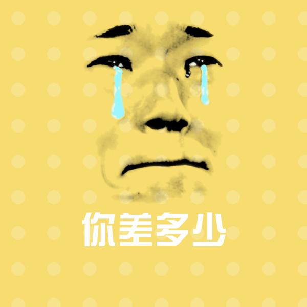 你差多少表情包
