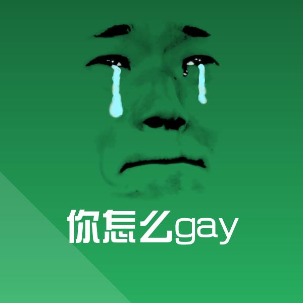 搞笑你怎么gay表情