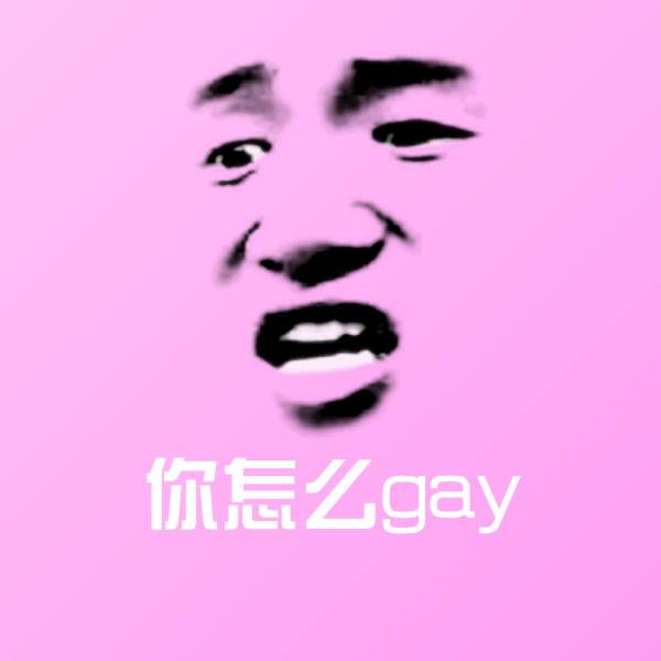 你怎么gay微信表情包