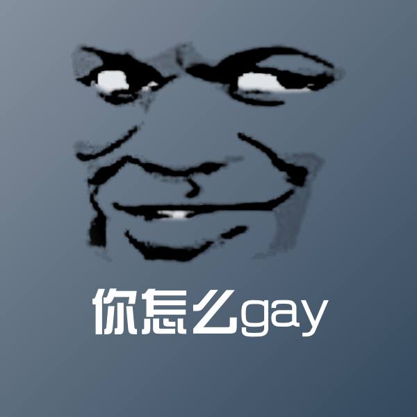 你怎么gay沙雕表情包