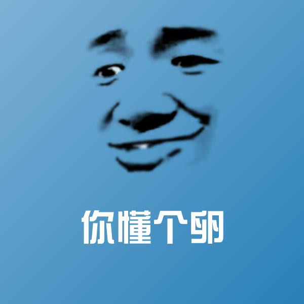 你懂个卵微信表情包