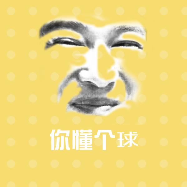 你懂个球表情包