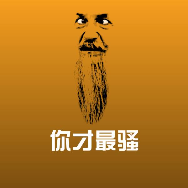 你才最骚斗图图片