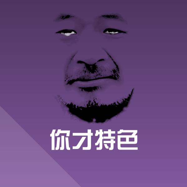 你才特色表情包