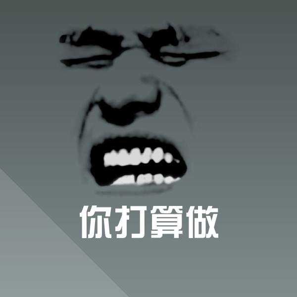 你打算做沙雕表情包