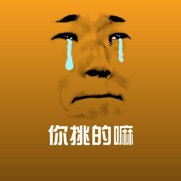 搞笑你挑的嘛表情