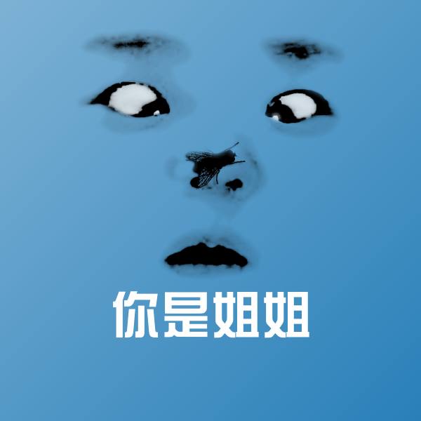 你是姐姐聊天表情