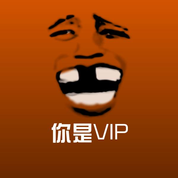 你是VIP表情包