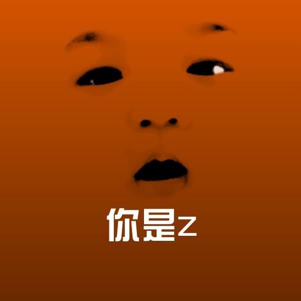 你是z聊天表情