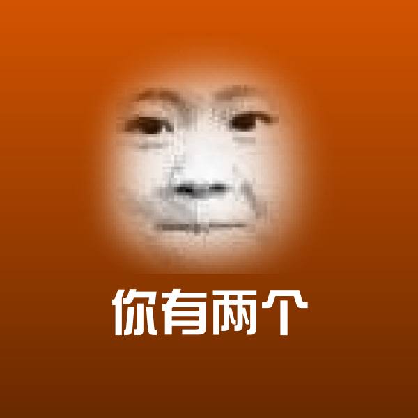 你有两个表情包