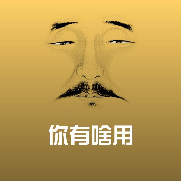 你有啥用斗图神器