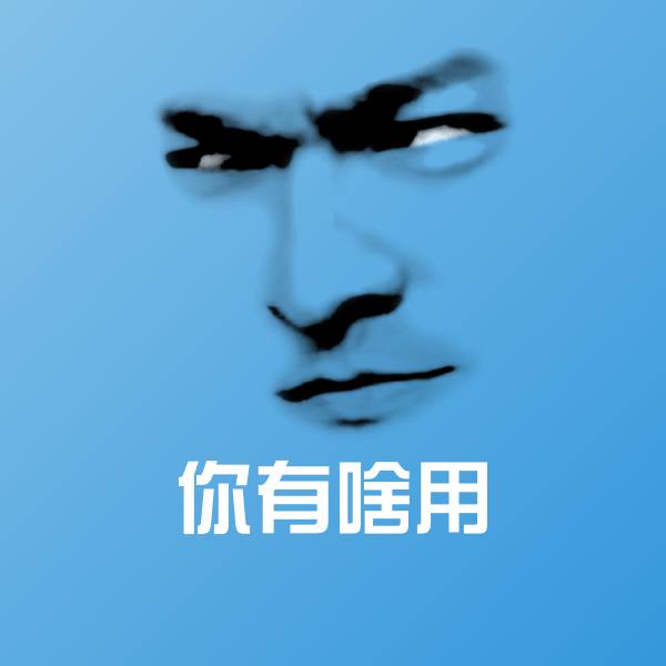 你有啥用沙雕表情包