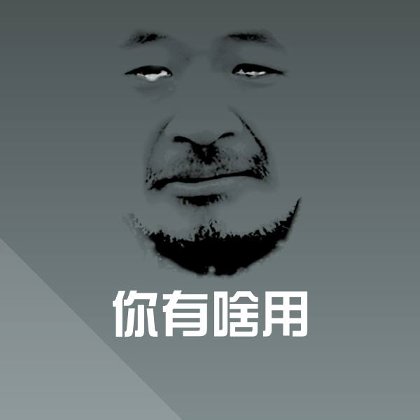 原创你有啥用表情包