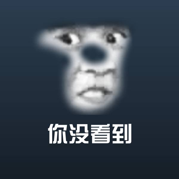 你没看到斗图图片