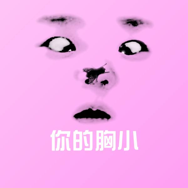 你的胸小斗图神器